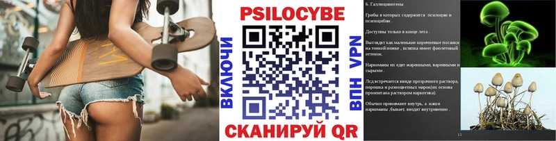 где продают наркотики  Новомосковск  Псилоцибиновые грибы Psilocybe 