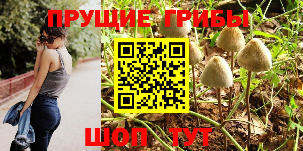 Псилоцибиновые грибы GOLDEN TEACHER Новомосковск